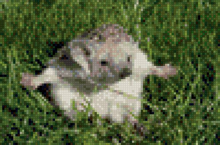 Ежик - ежик - предпросмотр