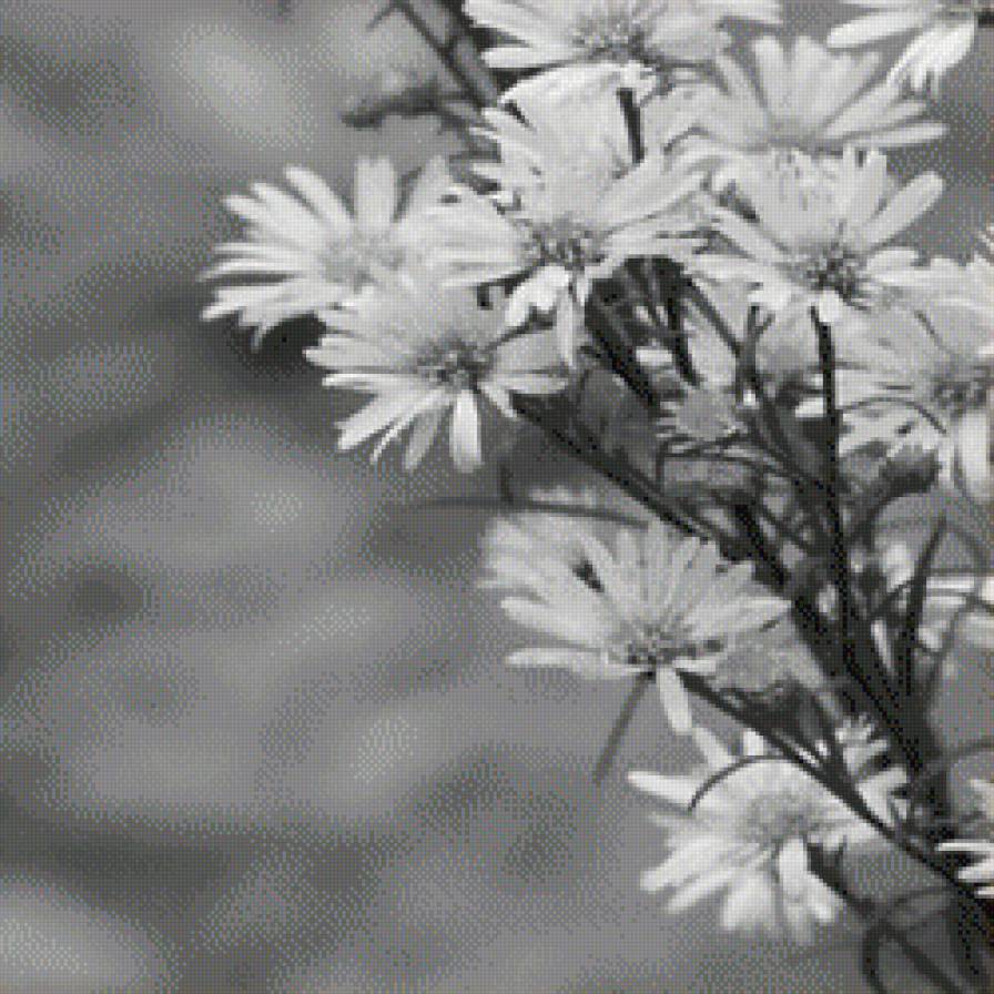 Триптих "Красная роза" часть*1 - триптих - предпросмотр