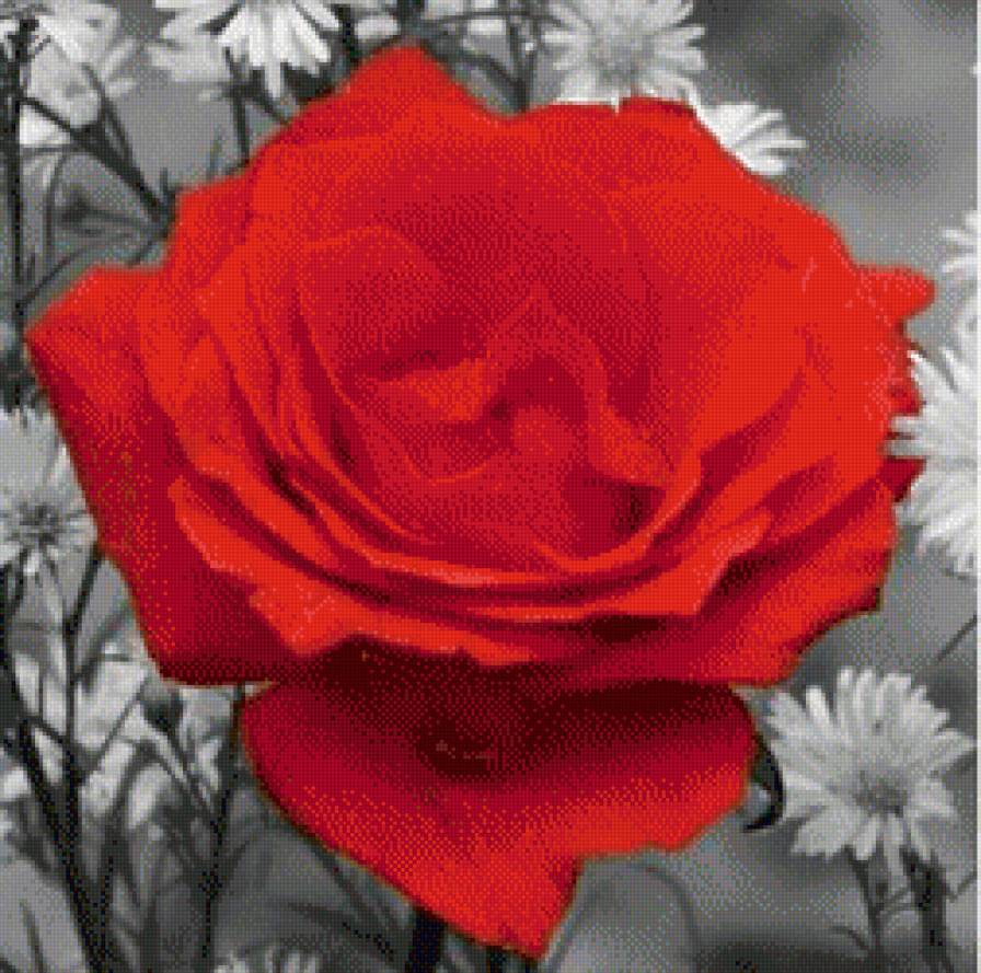 Триптих "Красная роза" часть*2 - триптих - предпросмотр