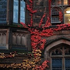 Схема вышивки «Окно»