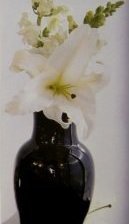 Схема вышивки «Триптих "Белые тюльпаны" часть*3»