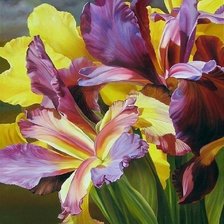 Схема вышивки «Цветы. Хилари Эдди»