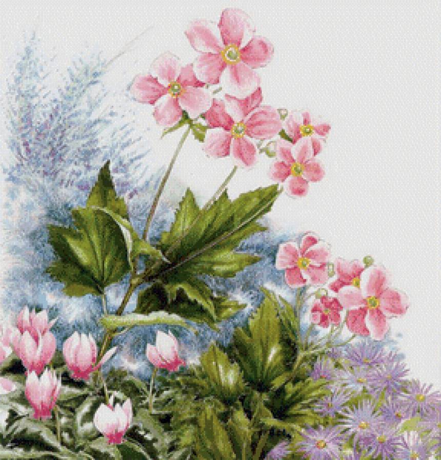 Нежность - цветы - предпросмотр