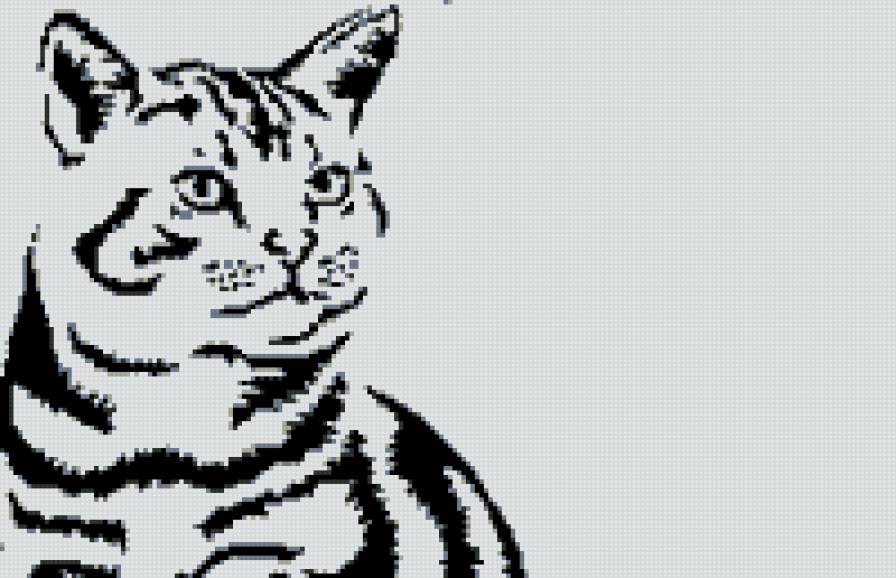 Кот - коты, животные, монохром - предпросмотр