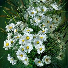 Схема вышивки «Ромашки»