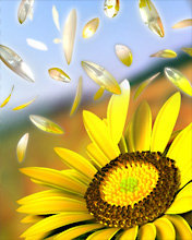 Схема вышивки «№468294»