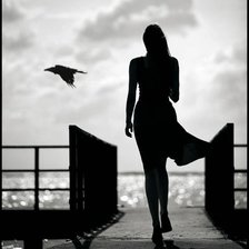 Схема вышивки «силует»