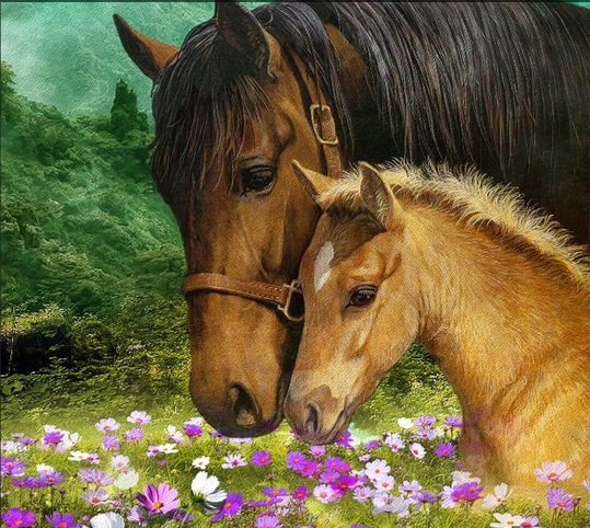 на лугу - лето, природа, кони - оригинал