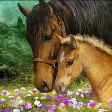 Схема вышивки «на лугу»