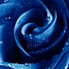 Схема вышивки «№468495»