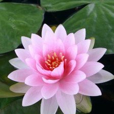 Схема вышивки «№468500»