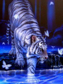 №468511 - оригинал