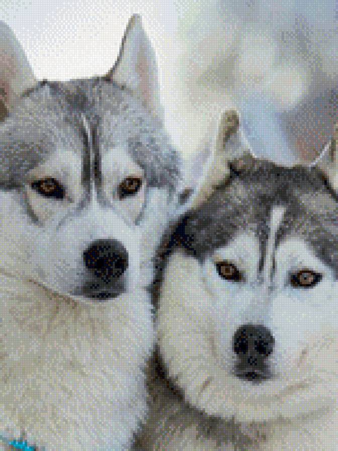 №468512 - предпросмотр