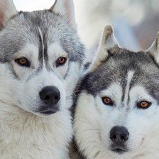 Схема вышивки «№468512»