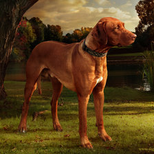 Схема вышивки «№468543»