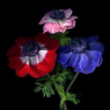 Схема вышивки «№468596»