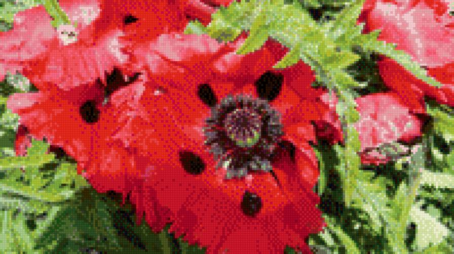 №468597 - предпросмотр