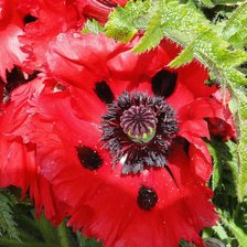 Схема вышивки «№468597»