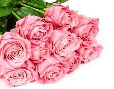 Схема вышивки «розы»