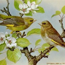 Схема вышивки «Пташки»