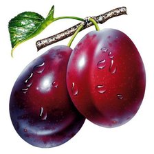 Схема вышивки «Для кухни»