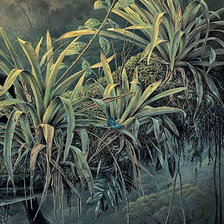 хозяйка джунглей часть 2