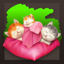 кошачья семья