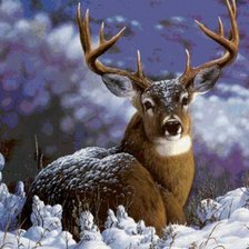 Схема вышивки «олень вышивка»