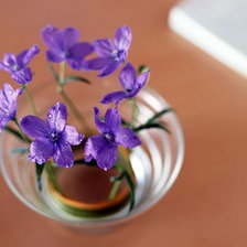 Схема вышивки «серия "цветы"»