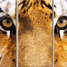 Схема вышивки «Взгляд»