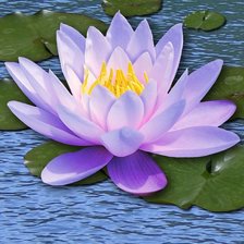 Схема вышивки «лилия»