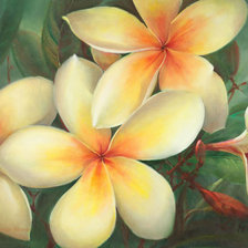 Схема вышивки «цветы Jill Kirstein»