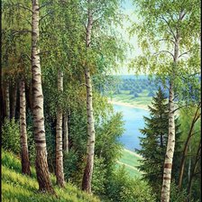 Схема вышивки «березки»