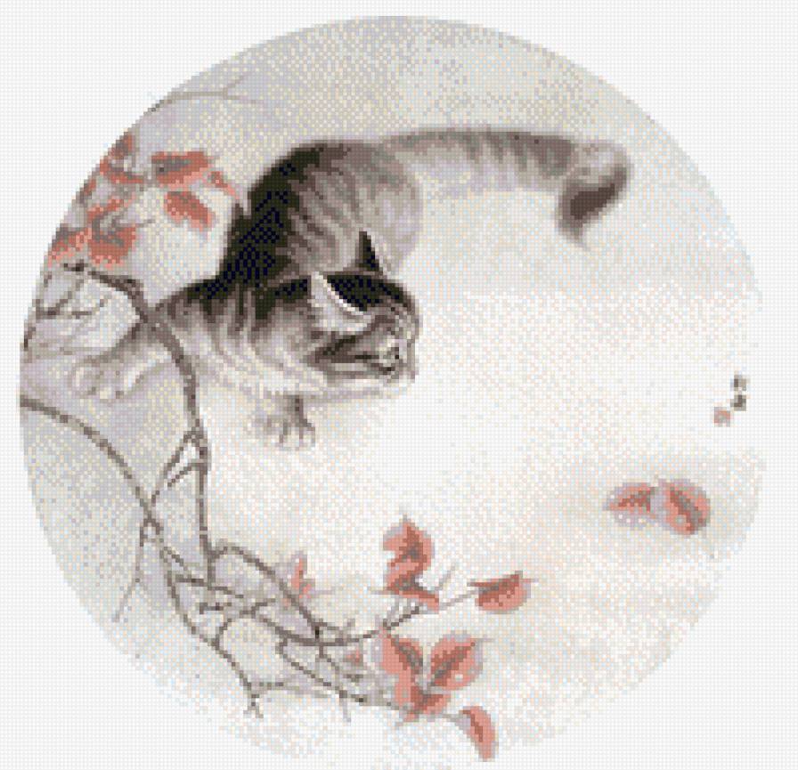 любопытство - кошки - предпросмотр