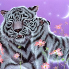 Схема вышивки «ласка»