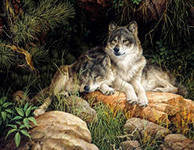 Схема вышивки «волки»