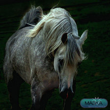 Схема вышивки «№469428»