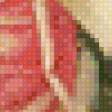 Предпросмотр схемы вышивки «№469434»