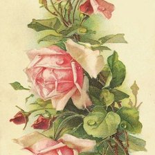 Схема вышивки «№469434»