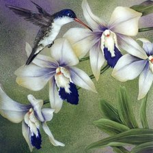 Схема вышивки «№469440»