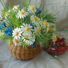 Схема вышивки «Ромашки»