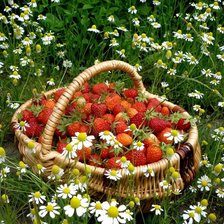 Схема вышивки «Земляника»