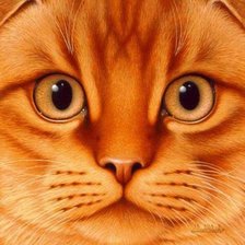 Схема вышивки «Рыжик»