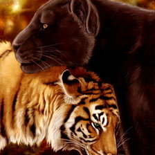 Схема вышивки «пара»