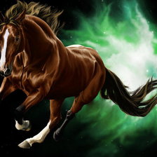 гнедая красавица