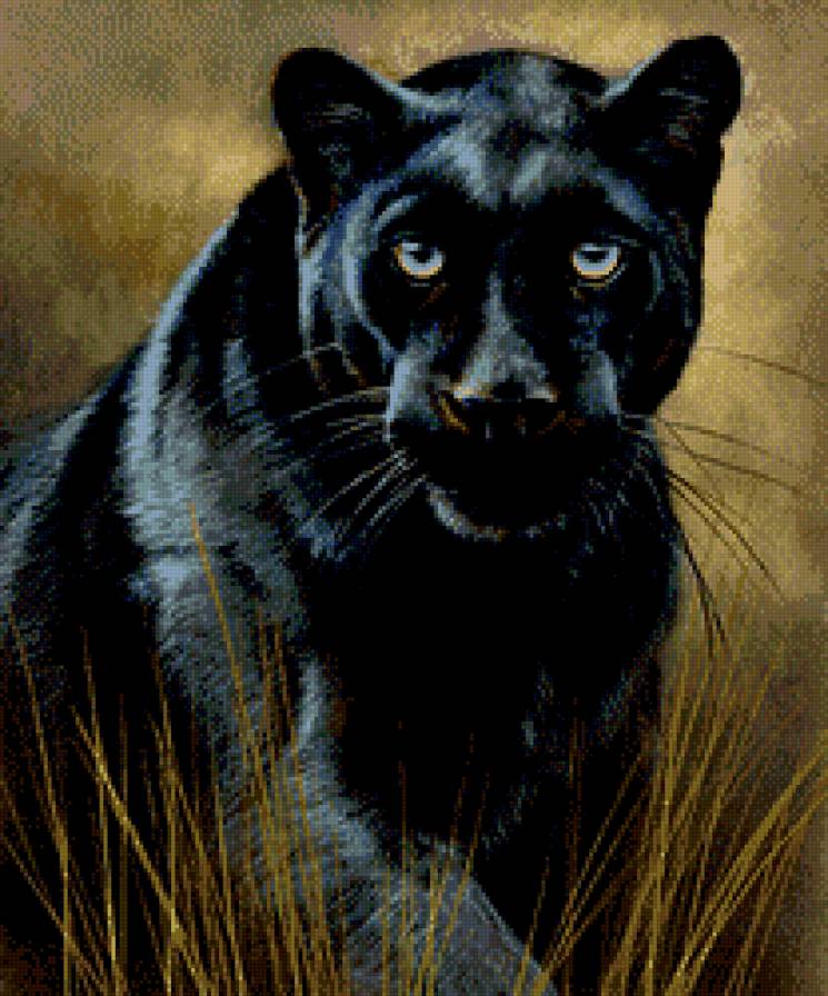 пантера - живопись, леопард, взгляд, хищник - предпросмотр