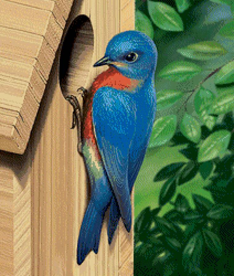 гостья - природа, скворечник, живопись, птицы, дерево, листья - предпросмотр