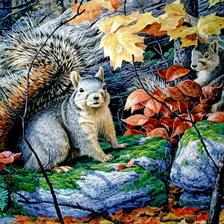 Схема вышивки «белочки в парке»