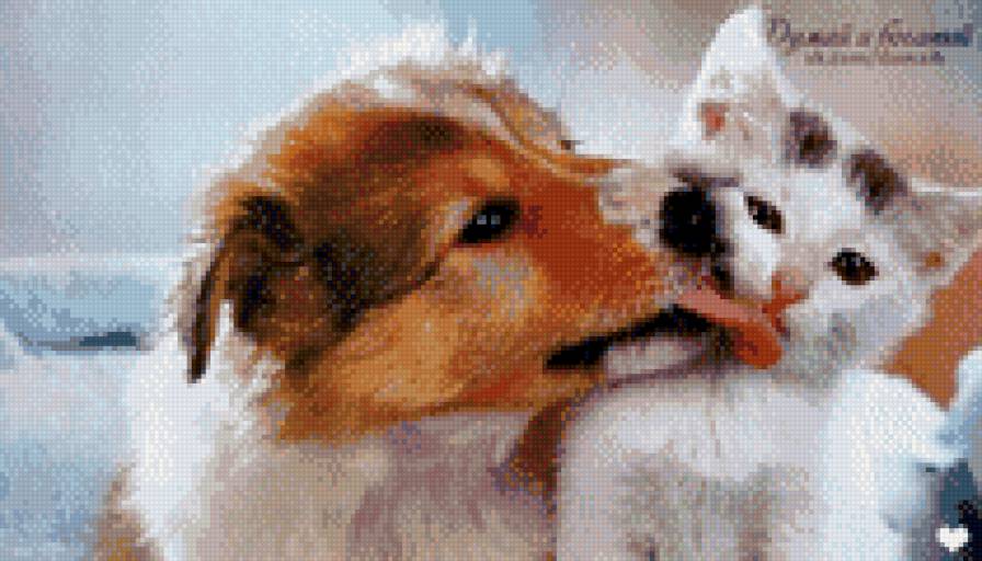 друзья - кошки собаки - предпросмотр