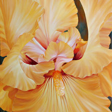 Схема вышивки «ирисы»